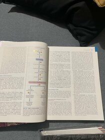 Netterov atlas, memorix, Constanzo, Feneisův slovník, chemie - 12
