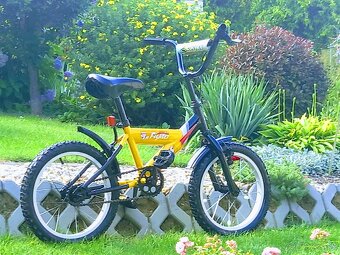 Detský BMX  Genesys - 12