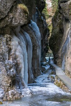 Sony FE Sonnar T 55mm f/1.8 ZA  Carl Zeiss - 12