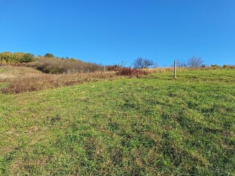 Predam pozemok v zahradkarskej oblasti,  Hlohovec - 12
