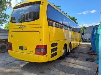 MAN Coach Lions - 12