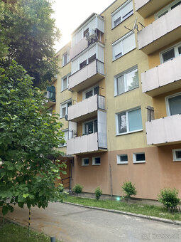 Ponúkame na Vás na PRENÁJOM garzónku v Kolárove - 12