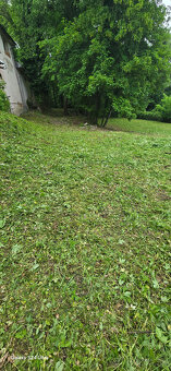 Rizikový výrub a orez stromov - 12