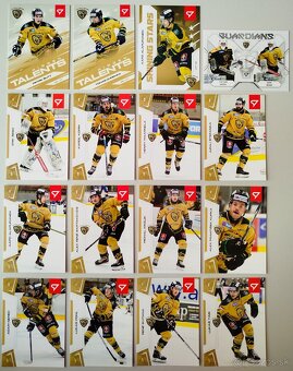 Hokejové kartičky SLOVENSKÁ HOKEJOVÁ LIGA 24/25  TÍMOVÉ SETY - 12