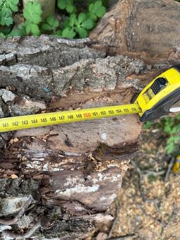 Orechové drevo - 12