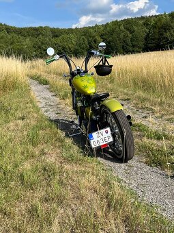 Bobber Harley Davidson 1200 XL - 12