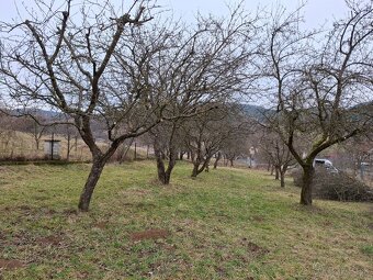 Záhradnícke služby - 12