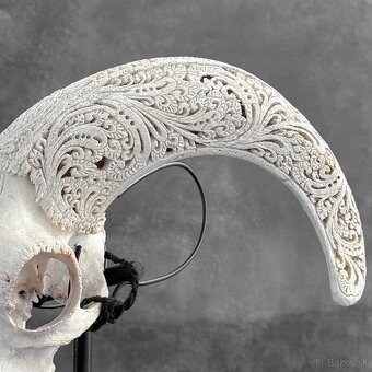 Vyrezávaná lebka barana na kovovom stojane - motív Infinity - 12