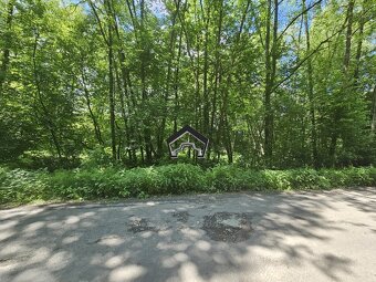 Záhrada vo Zvolene - 12