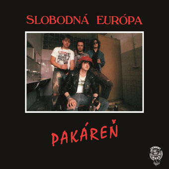 SLOVENSKI INTERPRETI na LP - 12