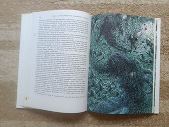 Robinson Crusoe - 12