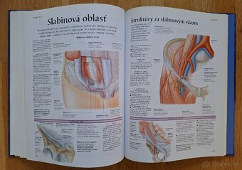 Ludske telo - atlas anatomie cloveka - 12