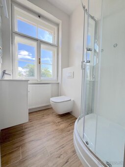 Prenájom 4 iz.bytu s výhľadom na hrad, Palisády, BratislavaI - 12