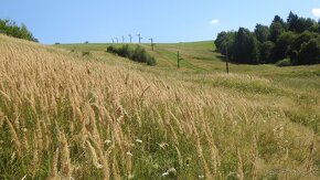 Pozemok na predaj 5 eur m2 Ski Park Desna - 12