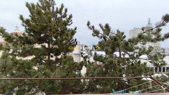 3 izbový byt sídlisko Mládež, Prievidza - 12