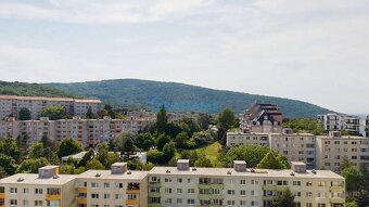 3D, predaj 2-izb. klimatizovaný s pekným výhľadom, Homolová, - 12