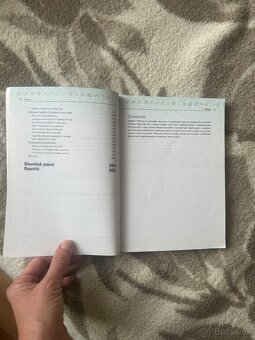 Kniha Minecraft vydoluj maximum - 12