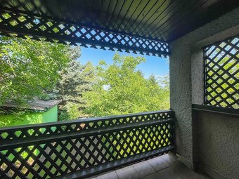 Viničný dom s vinohradom na predaj, Melek - 12