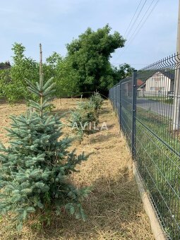 PREDANÉ: holodom s pozemkom 1000m2 v krásnej prírode - Čelár - 12