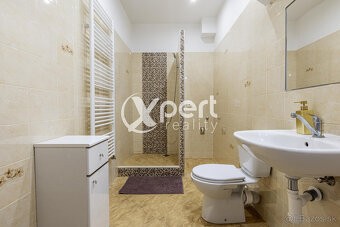 Rodinný dom s multifunkčným využitím v centre Galanty - 12