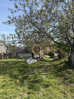 Na predaj starší rodinný dom v obci Tepličky okr. Hlohovec - 12