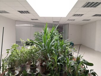 Prenájom Open spacu - Palisády, 130 m2 - 12