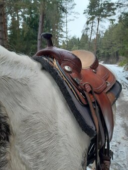 Westernove sedlo znacka western import - 12