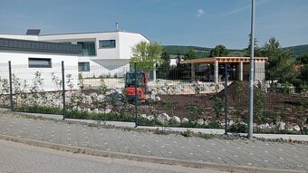 Tuja Smaragd, vavrínovec, červienka - Zvolen - 12