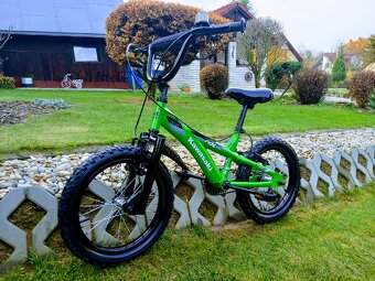 BMX 16-Kawasaki - 12