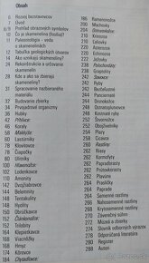 Dinosaury - 12
