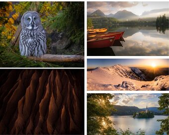 Canon G5X - 12