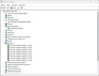 HP 250 G10 /Core i3-1315U/8GB RAM/FHD/256GB SSD/Bat ok - 12