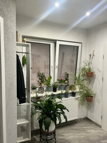 Rodinný dom Jacovce - ZNÍŹENÁ CENA - predaj - 12