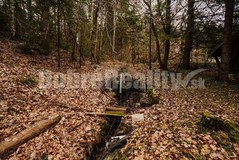 PREDAJ: Rekreačná chata s väčším pozemkom, 79 m2, pozemok 55 - 12