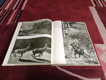 Poľovnícke knihy - 12