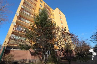 EXKLUZÍVNE - prenájom 2i byt, Komenského, Piešťany - 12