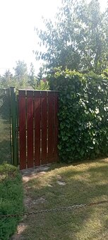 Na predaj záhradka v Kráľovej nad Váhom - 12