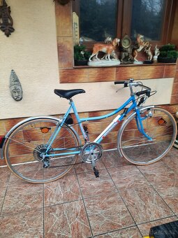 Vector R111 synchro cestný bicykel ,Kellys - 12