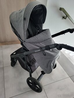Roan Bloom Titanium - 12
