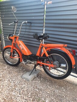 Jawetta šport 551 - 12