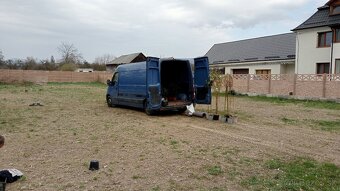 Tuja Smaragd, vavrínovec, červienka - Kežmarok - 12