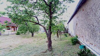 Na predaj ideálny rovinatý stavebný pozemok v obci Kašov - 12