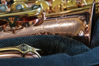 Alt saxofón Buffet Crampon Senzo - 12