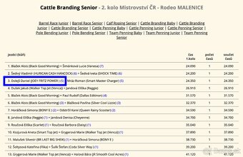 Cremello klisnička s odznaky s reining/cutting původem - 12