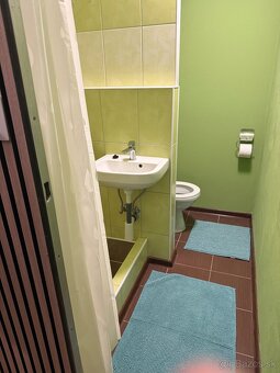 Byt na prenájom - 12