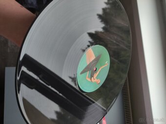 Rap / HipHop LP a CD - 12