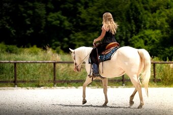 Cremello klisnička s odznaky s reining/cutting původem - 12