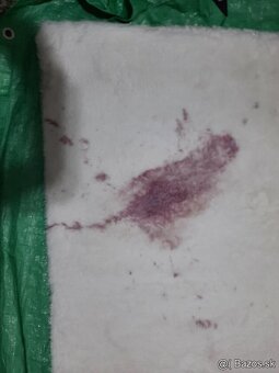 Kostoly,tepovanie kobercov,sedenia Prešovský kraj. - 12