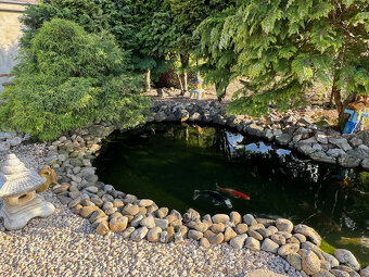 IBA U NÁS Ponúkame NA PREDAJ rodinný dom v Kolárove - 12