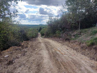 Predaj - záhrada - Zlaté Moravce - ZĽAVA - 12